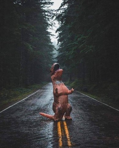 dino in road.jpg