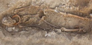 skeletons-roman-necropolis-france-728x400.jpg