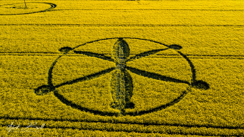 2-introduction-and-decoding-of-crop-circles-circle-of-may-8-willoughby-hedge