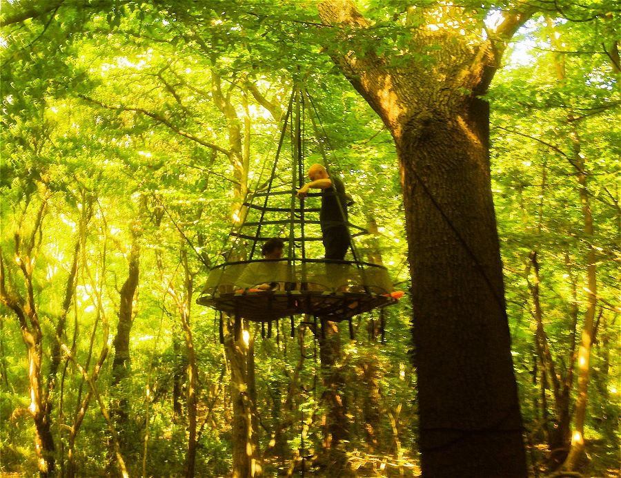 The Sky-Pod Tree Tent — Hang In There! 
