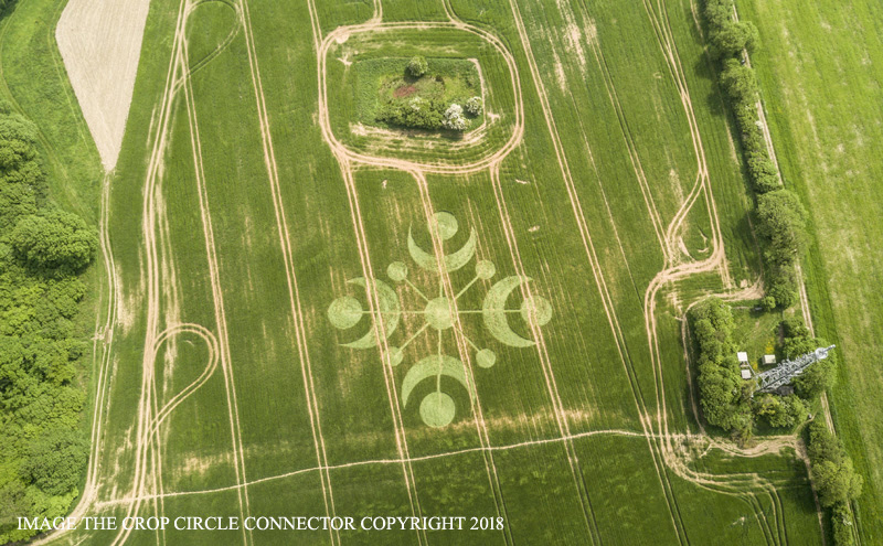 Crop Circle in Buckland Down, Dorset (England) from May 26