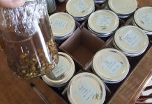 Jars - Beautiful Bitters! A Herbal Solution